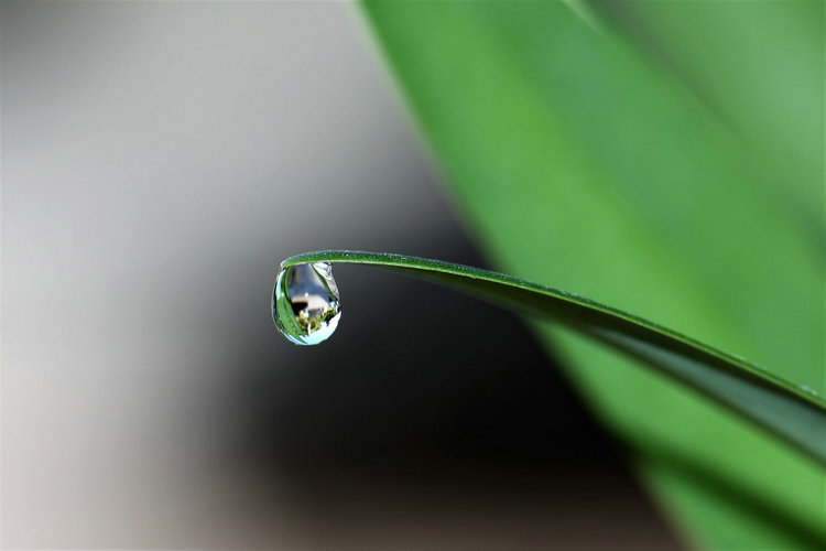 短程分子蒸馏仪