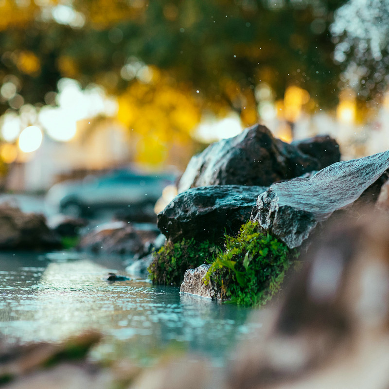 水中氨氮 水中氨氮